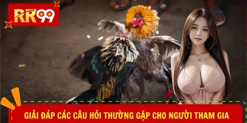 Giải đáp các câu hỏi thường gặp cho người tham gia