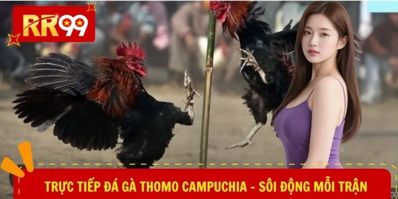 Trực tiếp đá gà Thomo Campuchia